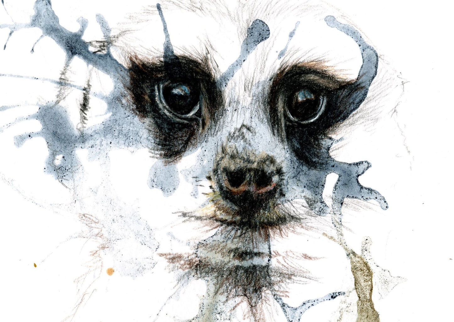 The Meerkat and Martial Eagle: Predator and Prey (Giclée print - limited edition of 20)
