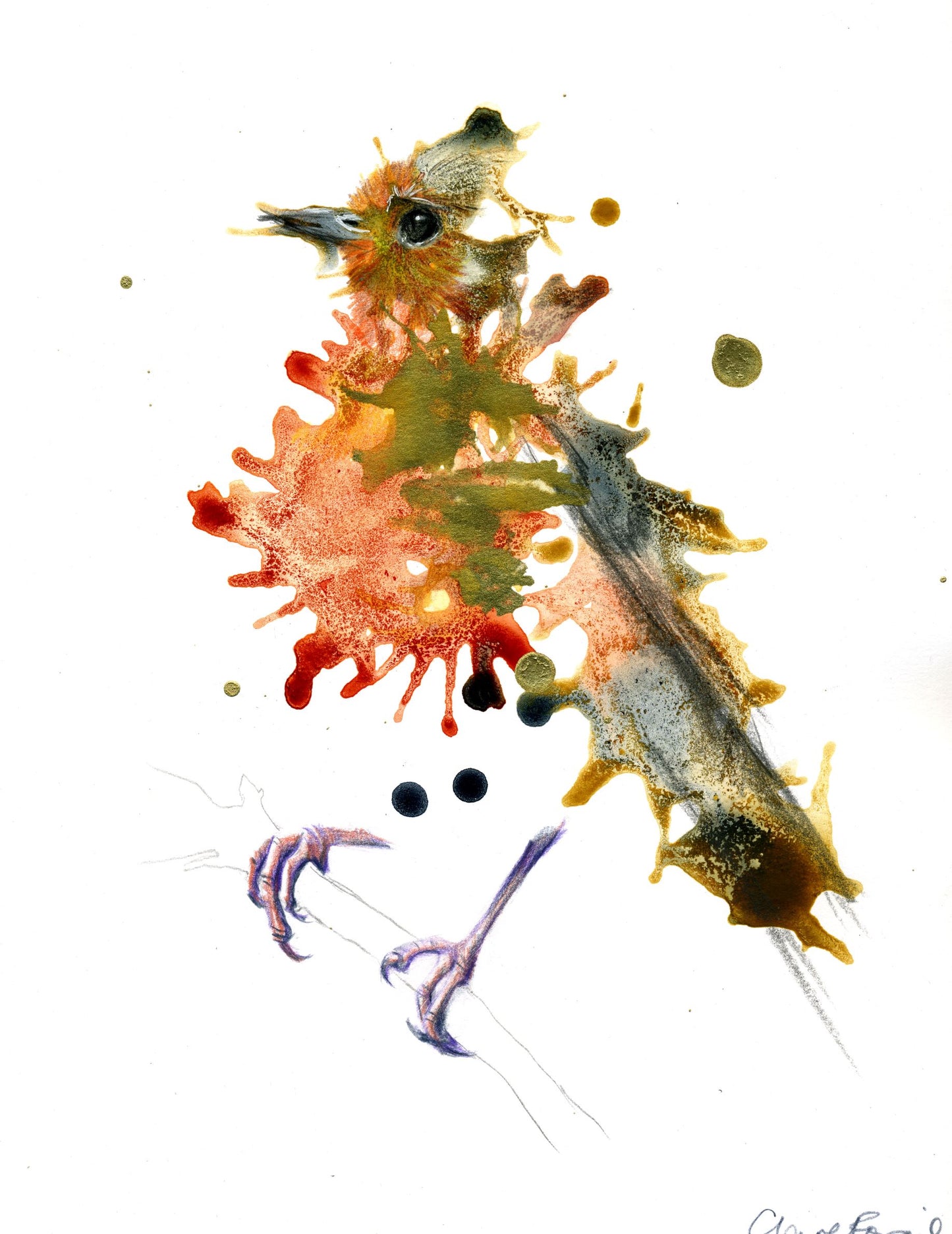 Festive Robin redbreast with gold ink, representing UK birdlife. Perfect for a Christmas gift.