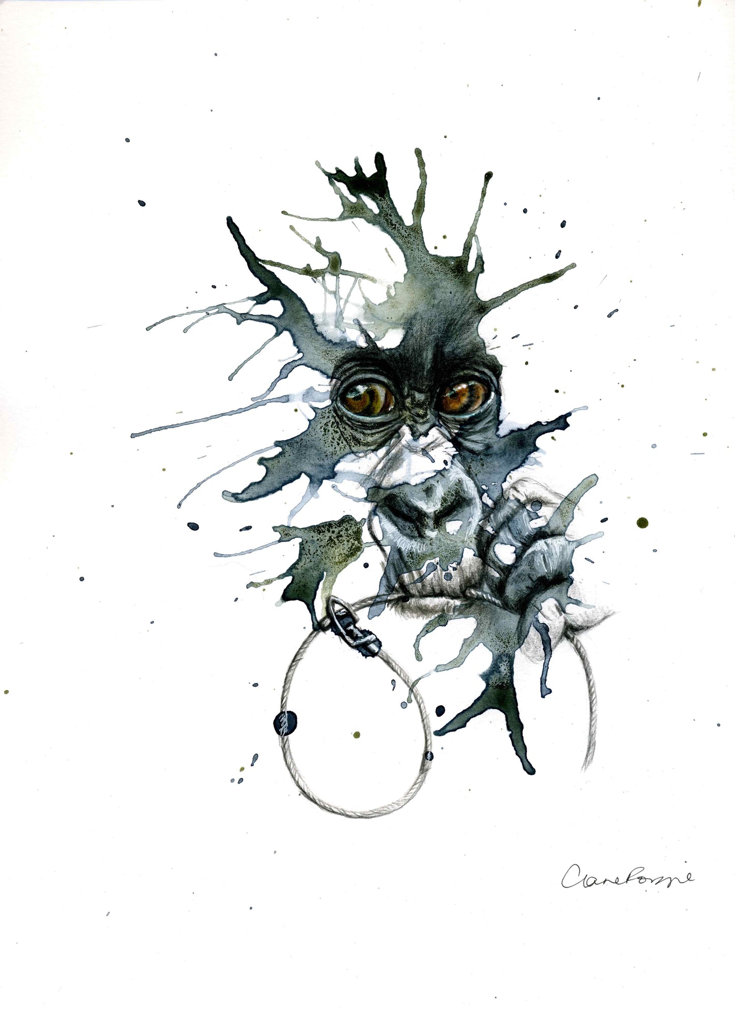Giclée print featuring an abstract representation of a young gorilla with a snare in its mouth. The eyes show a cheeky look. Completed in a splashed black and white color scheme with coloured pencils for the details of the eyes.