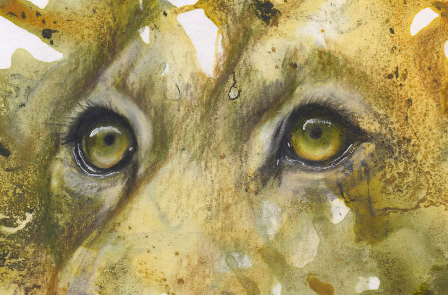 Close-up of a lion's face with detailed texture and colour. 