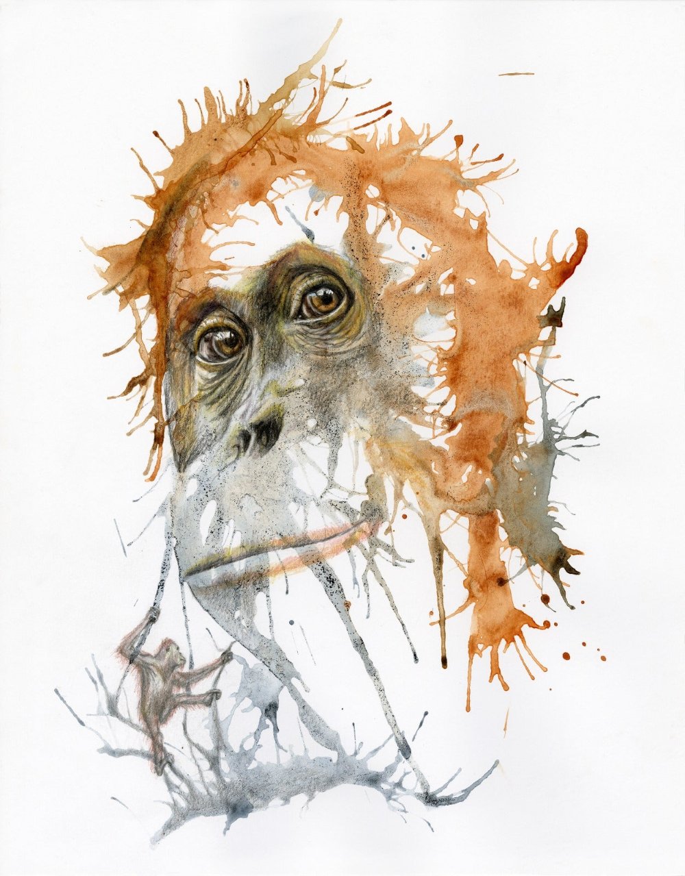 Lucky to be Alive is a contemporary mixed media print of an orangutan and is by Clare Forgie