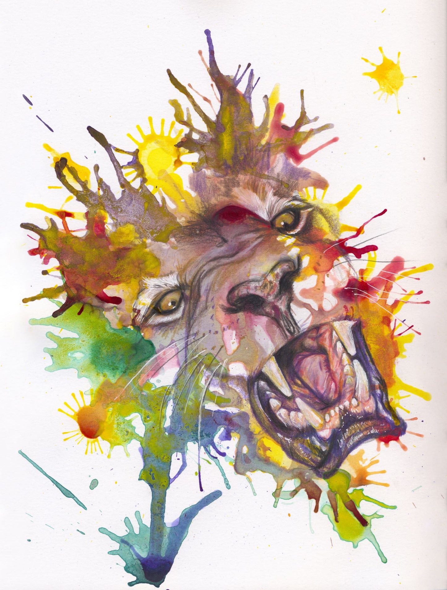 Colourful abstract painting of a roaring lion's head with splashes of multi-coloured paint on white paper