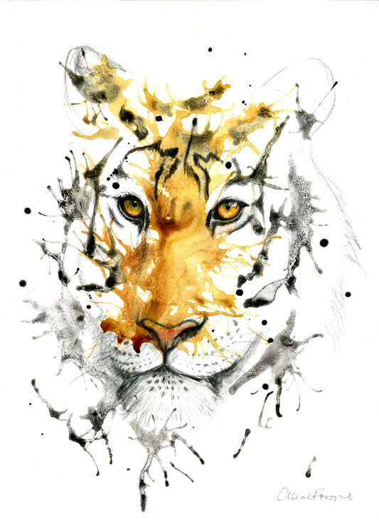 The tiger (Panthera tigris) is the largest cat species in the world and is renowned for its striking orange coat with black stripes, which serve as camouflage in its natural habitat. Native to Asia, tigers inhabit diverse environments, including tropical forests, grasslands, and mangrove swamps.