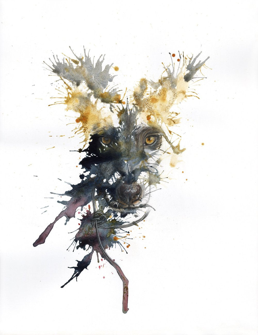 The Wrong Dog Collar is a contemporary mixed media artwork print featuring an African Wild Dog with a snare around its neck, by Clare Forgie